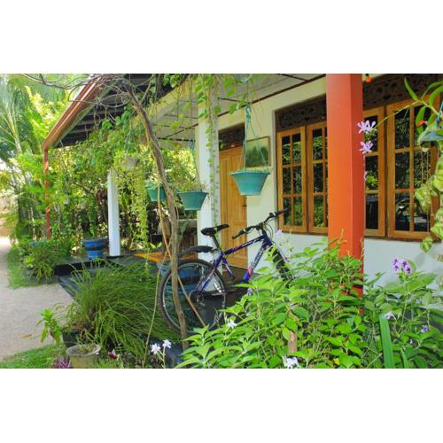 Nature Night Homestay