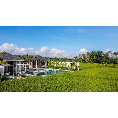 Nayanika 5 BR Private Pool Villa with Ricefield view CYN
