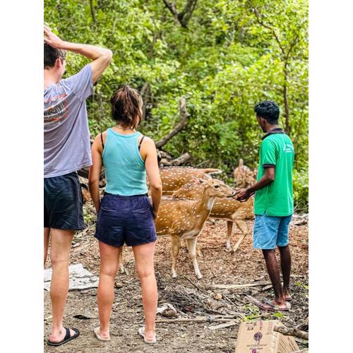 Nehansa Resort and safari