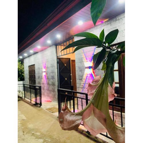 Nethuli Inn Ella