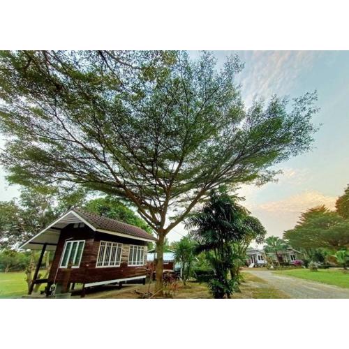 ผาผึ้ง Neverland