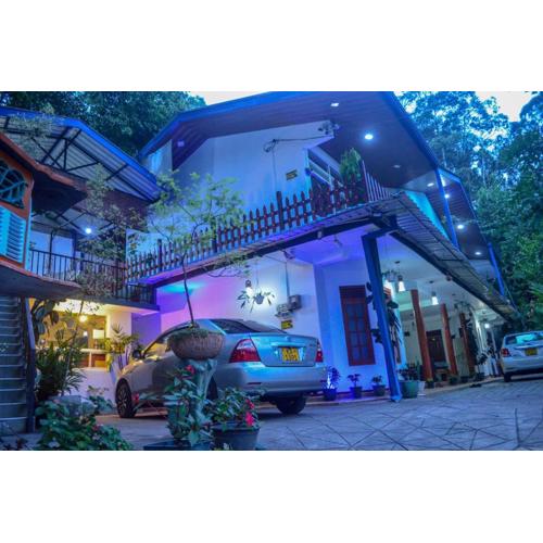 New Blue Home