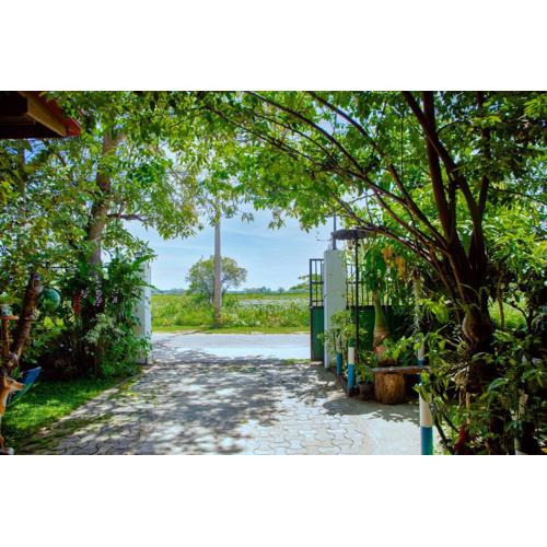 New Cormorant Lake Resort & Yala Safari Place