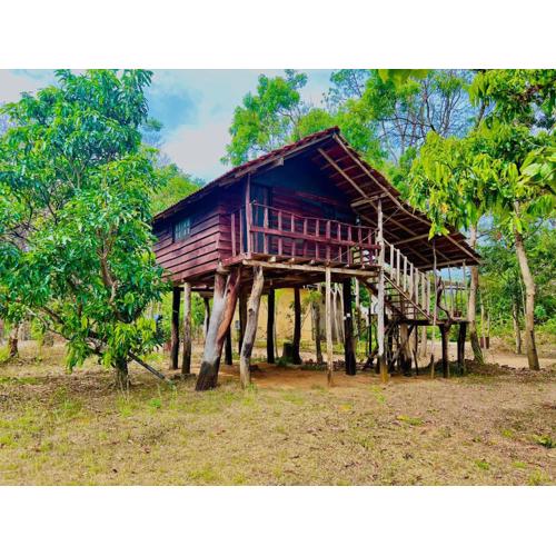 New Eagles Wings Resort