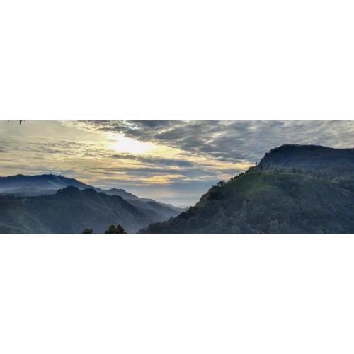 New Ella Nature View