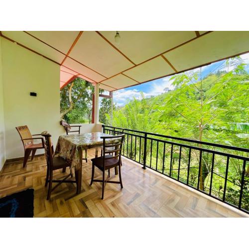 New Forest Glen Nest