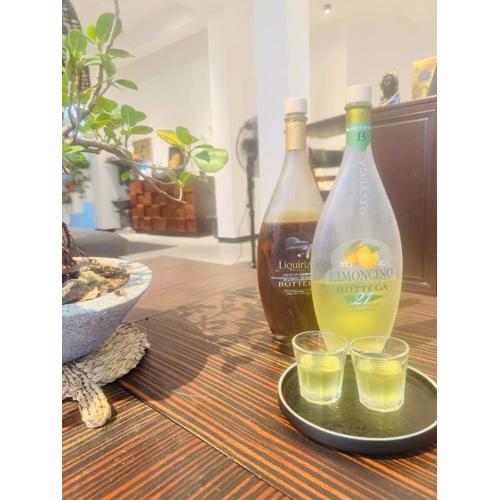 New King well resort and guest house