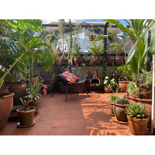 NEW! PocketParadise in Nairobi