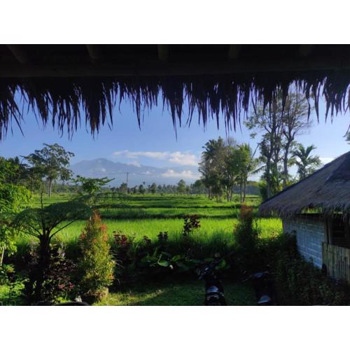 New Rinjani Homestay