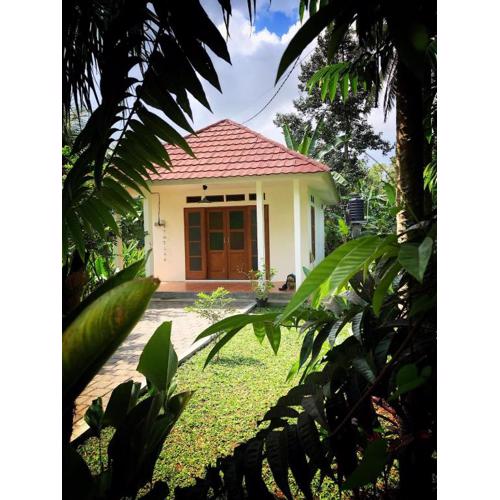 New Studio House with spacious garden in Ubud