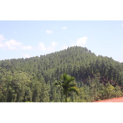 New Thilini Homestay Ella