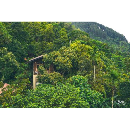 New Villa - Nugaliyadda