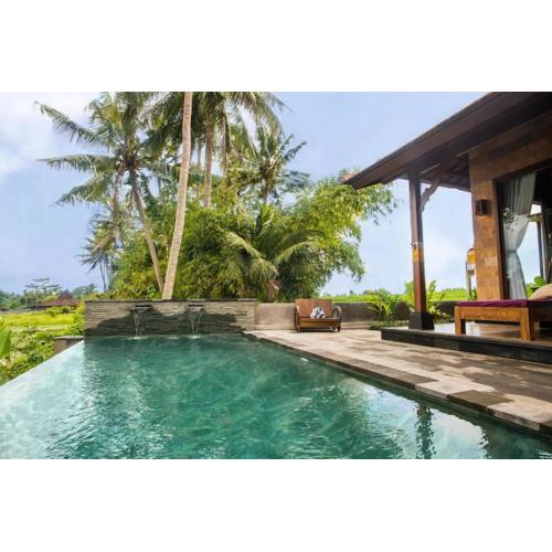 New villa at the edge of rice field & free scooter