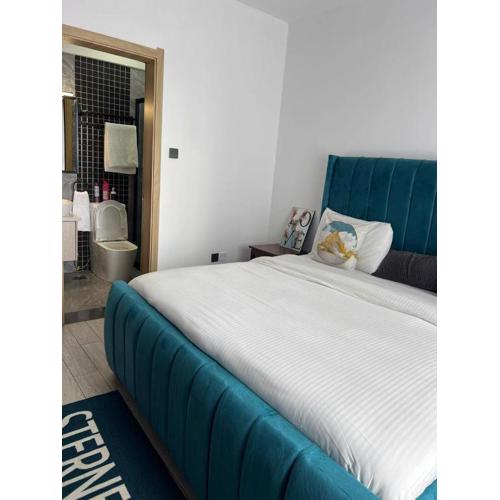 newly furnished two bedroom apartment with swimming pool, fully equipped gym, private parking space ,children playground and unbeatable scenic city views