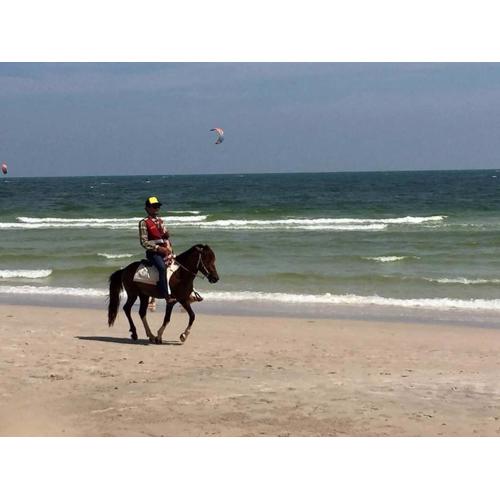 Nicha Pool Villa by Nichahome