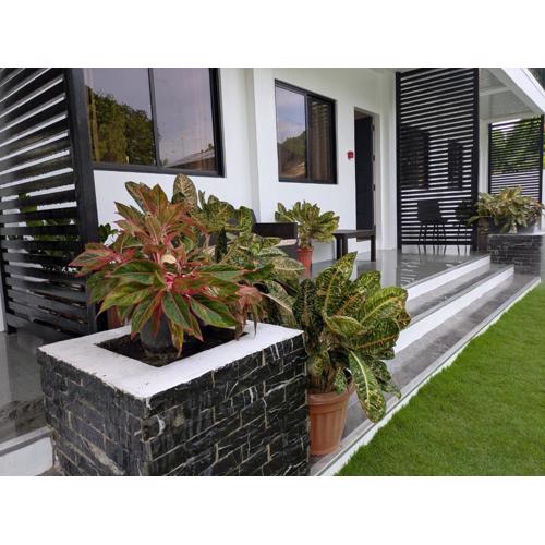 Nicholsons Apartments