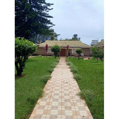 Nick's and Essy's place