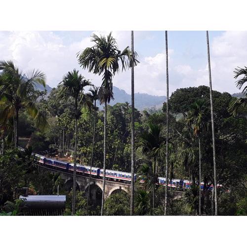 Nine Arch Araliya Homestay