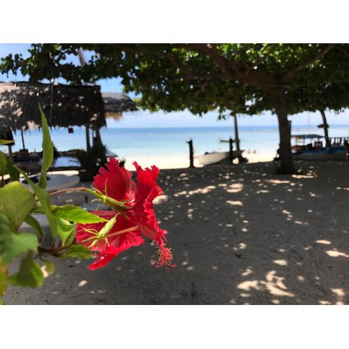 No Name Bungalow Haad Yao