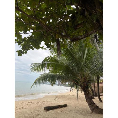 Noah's Ark Beachfront