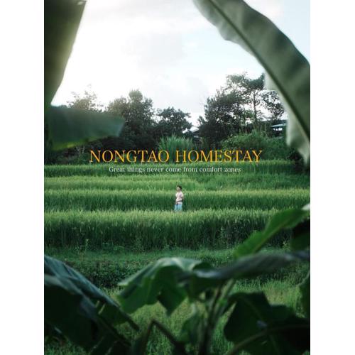 Nongtao Homestay