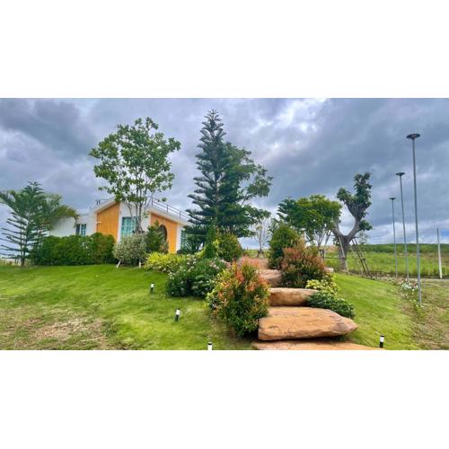 บ้านไร่ฟ้าสวยวังน้ำเขียว Nordic 01