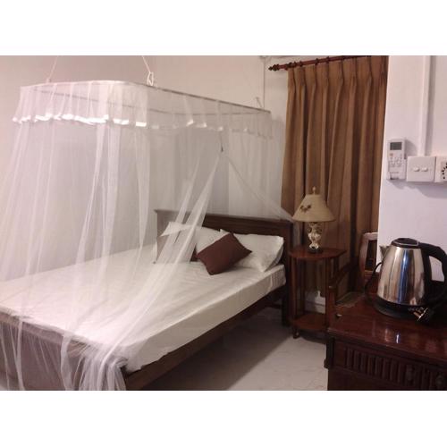 Number 01 by Taprobane