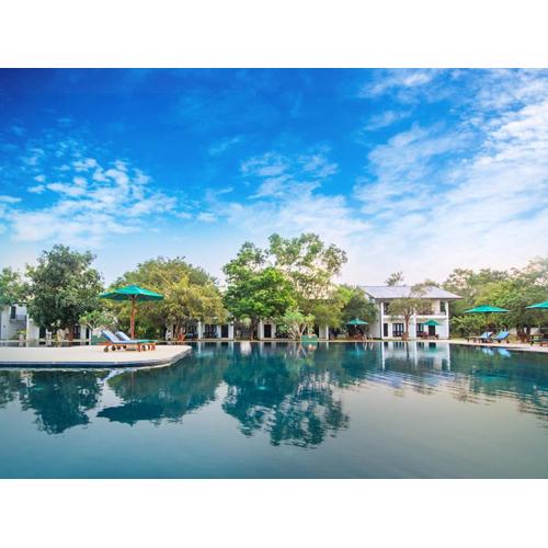 Oak Ray Elephant Lake