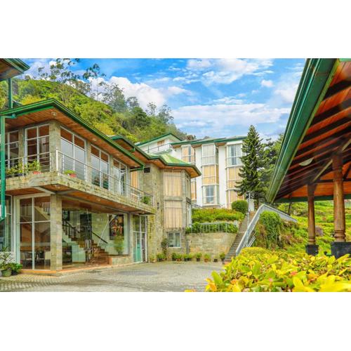 Oak Ray Summer Hill Breeze