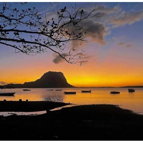 Oasis Kite Appartment