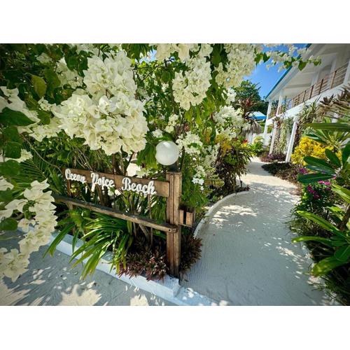 Ocean Voice Beach Resort & Diving