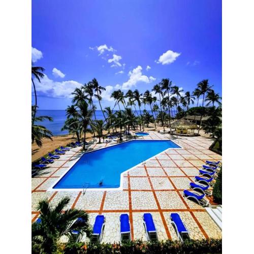 OCEANPARADISE to you ALBATRO l Y ll