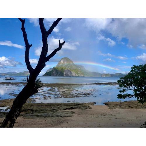 OIA Beach Hostel - El Nido