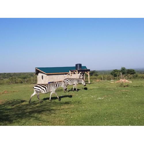 Olgosua Homestay Maasai Mara