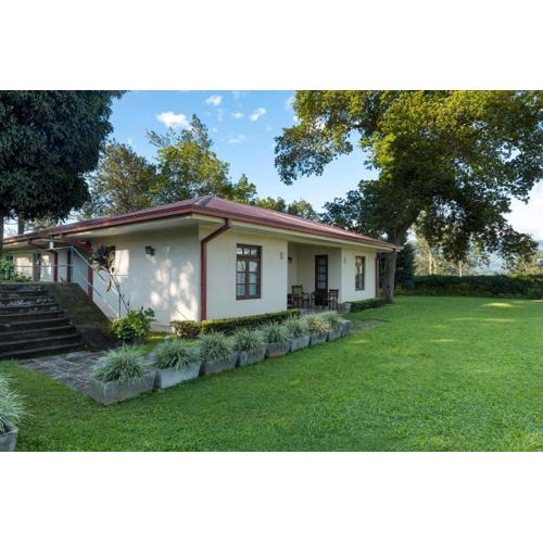 Olive Bungalow
