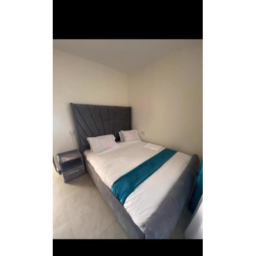 Olive stylish stay 04