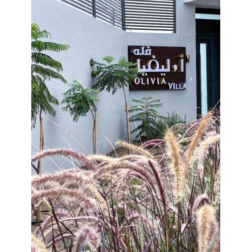 Olivia Chalet فلة أوليفيا