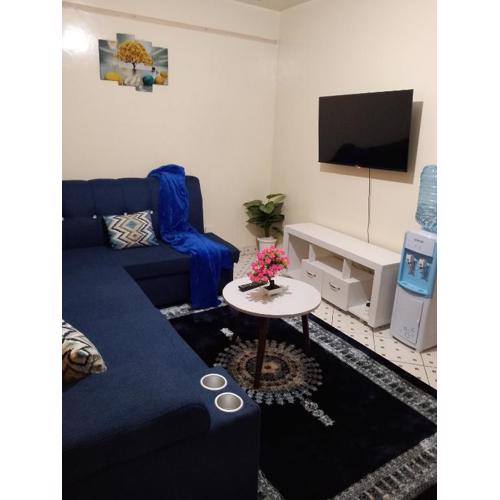 One bedroom apartments in south b