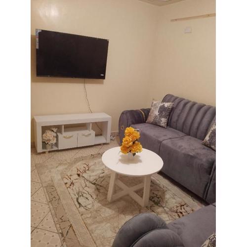 One bedroom fully furnished Airbnb in south b