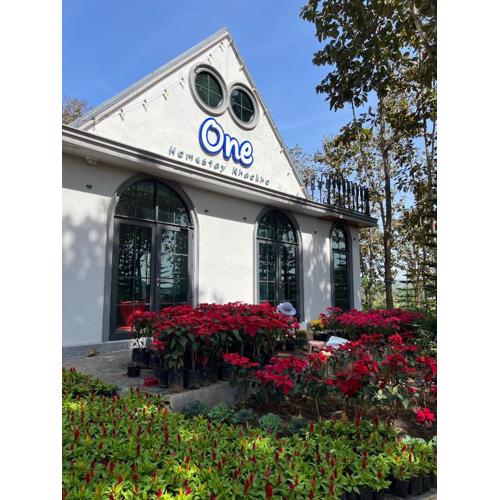 One khaokho homestay