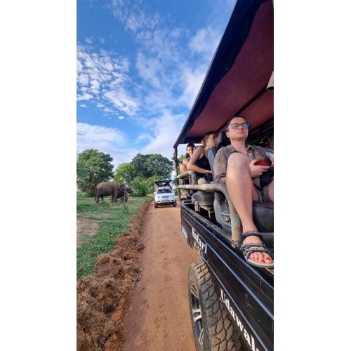 one love safari bungalow