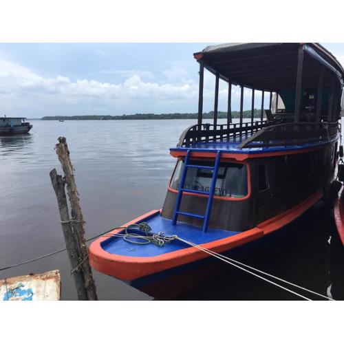 Orangutan Houseboat Park Tanjung Puting