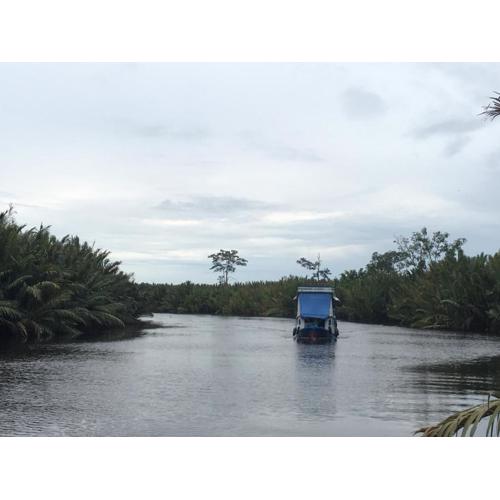 Orangutan Shaka Houseboat with cabin