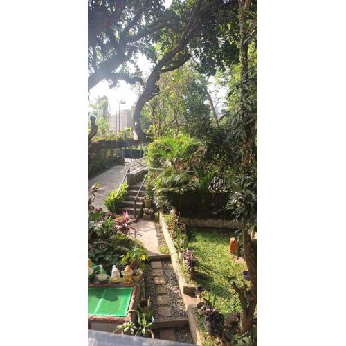 Orchid Bed and Breakfast