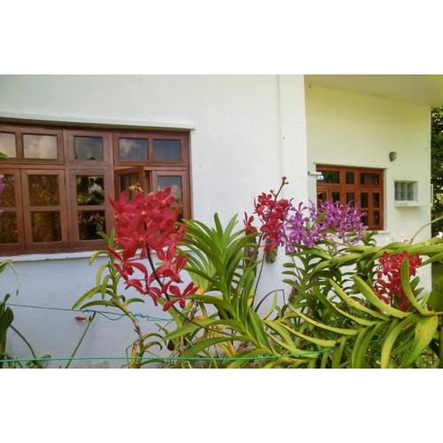 Orchid Sunset Guest House