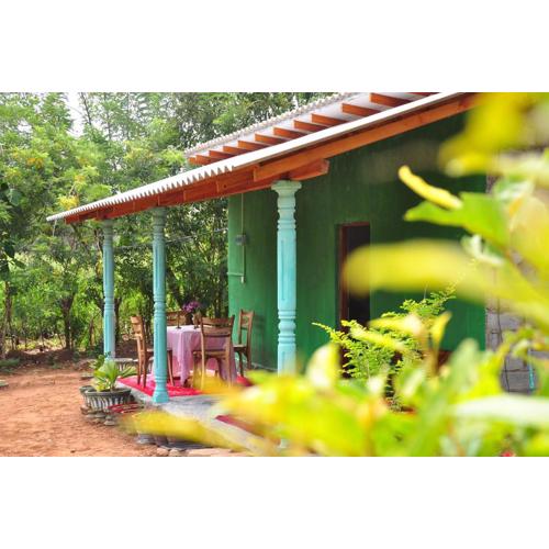 Organic farm Wish Prabha lake view homestay
