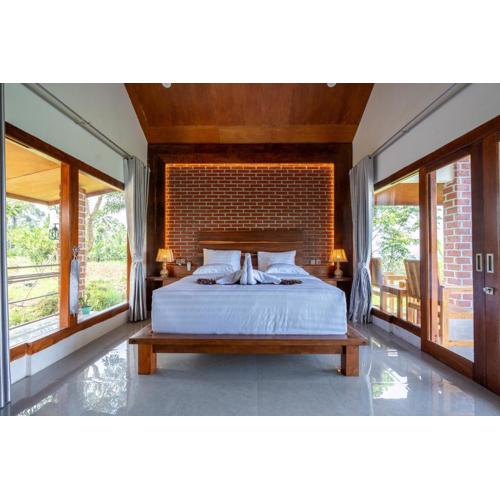 Organic Rice Harmony