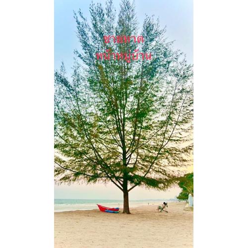 Oriental Beach By Winnie