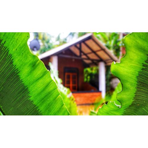 Osheen Homestay Sigiriya