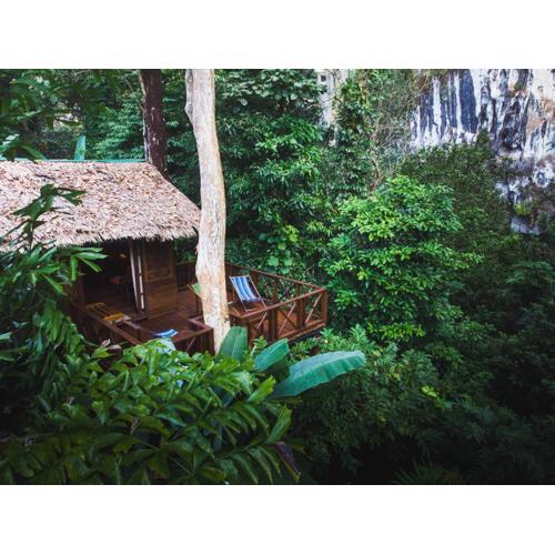 Our Jungle House